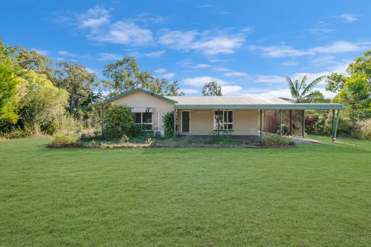 357 Forestry Road, Bluewater Park QLD 4818