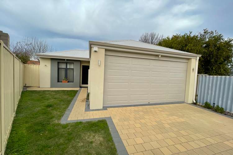 Second view of Homely house listing, 16A Lingfield Way, Morley WA 6062