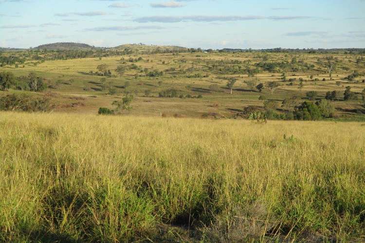 1146 ACRES SCRUB COUNTRY, GRAZING - COORANGA NORTH DISTRICT, Bell QLD 4408