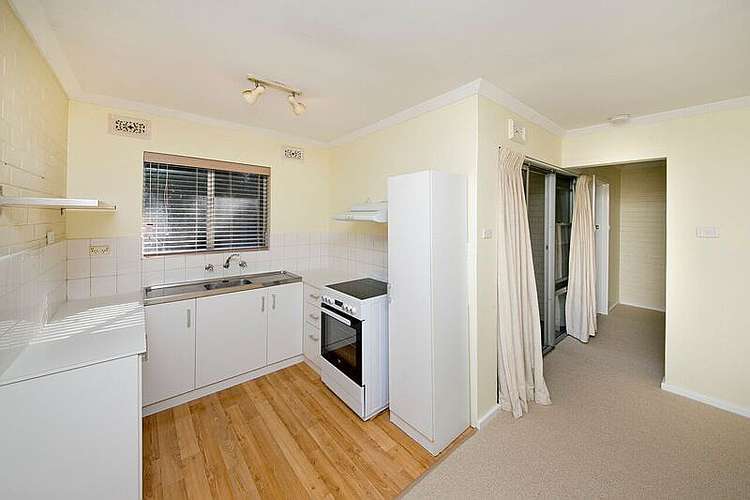 Main view of Homely apartment listing, 13/84 Stanley Street, Scarborough WA 6019