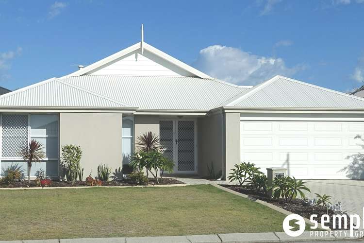 Main view of Homely house listing, 7 Willerin Loop, Success WA 6164