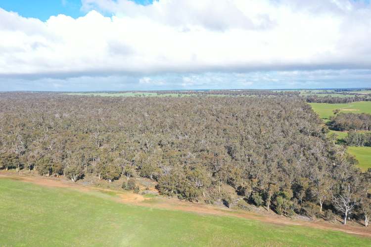 Main view of Homely lifestyle listing, Lot 6962 Hubbe Road, Kojonup WA 6395