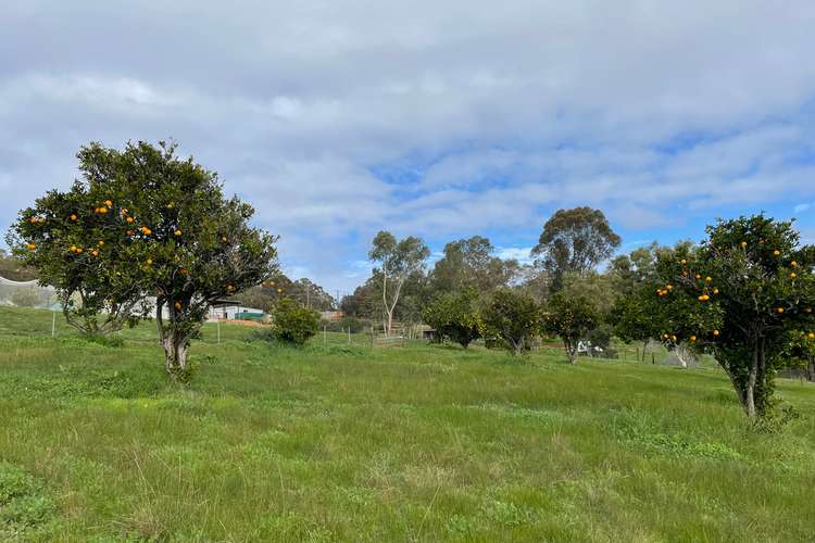 Second view of Homely house listing, 28 FORREST HILLS PARADE, Bindoon WA 6502