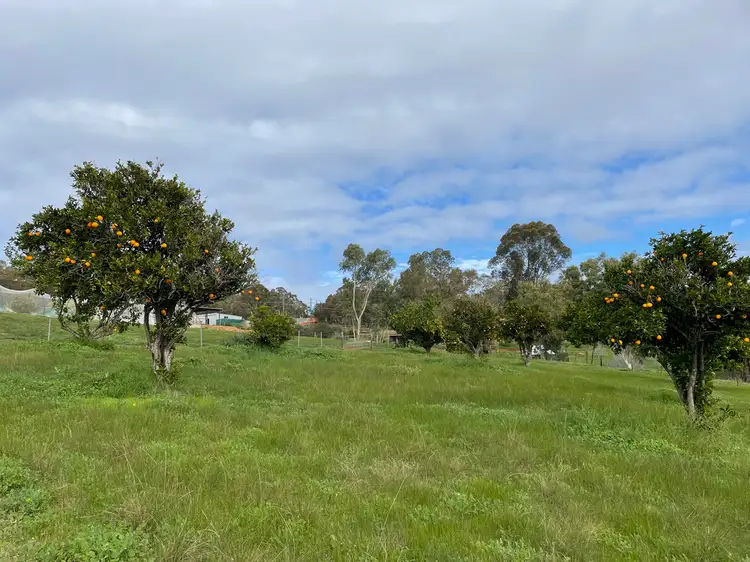 Second view of Homely house listing, 28 FORREST HILLS PARADE, Bindoon WA 6502