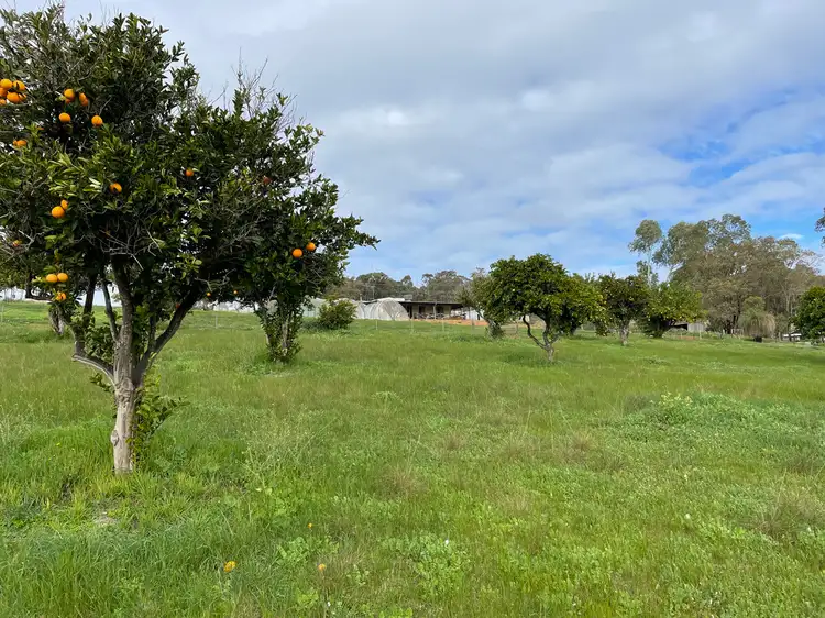 Fifth view of Homely house listing, 28 FORREST HILLS PARADE, Bindoon WA 6502