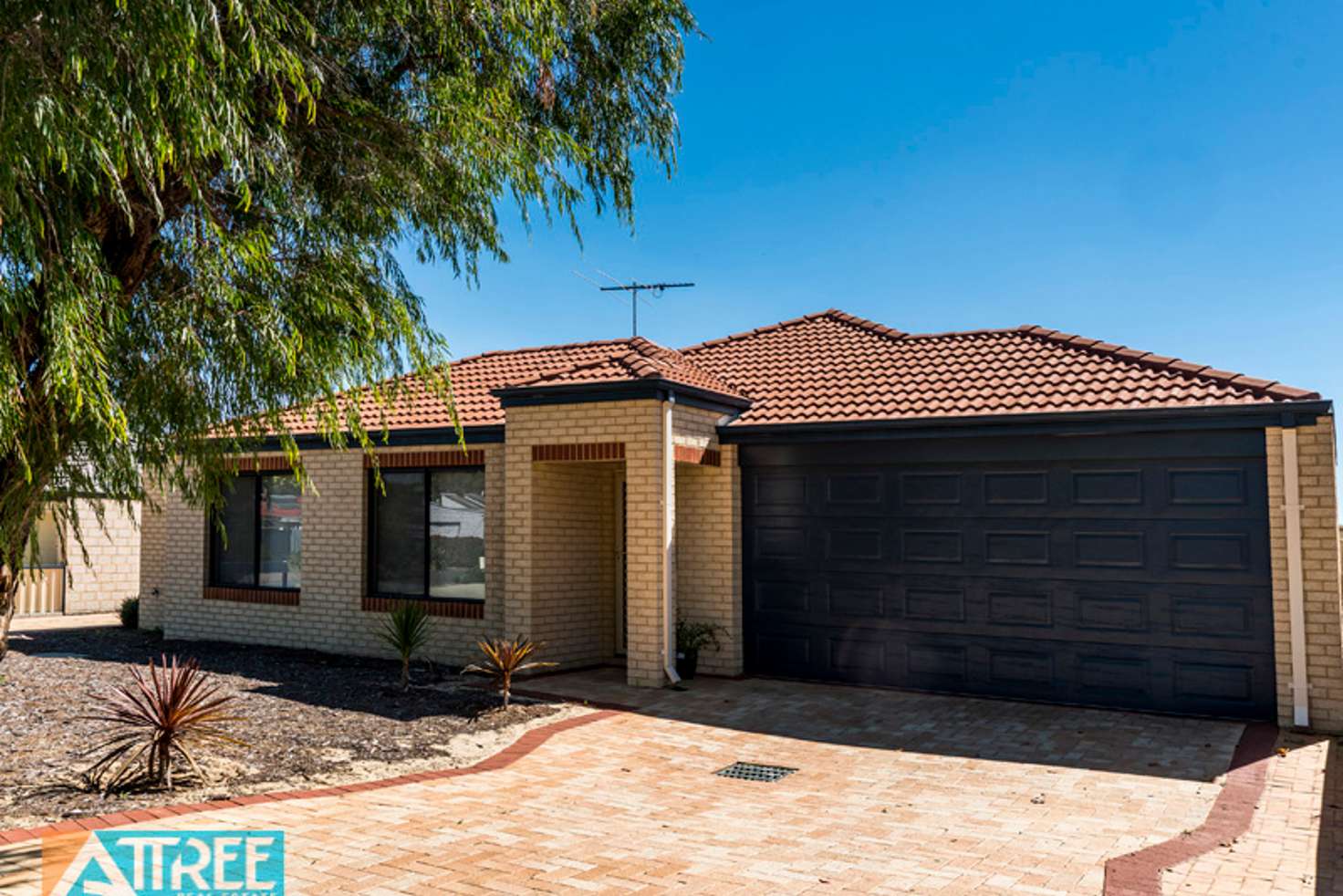 Main view of Homely house listing, 19A Friar Road, Armadale WA 6112