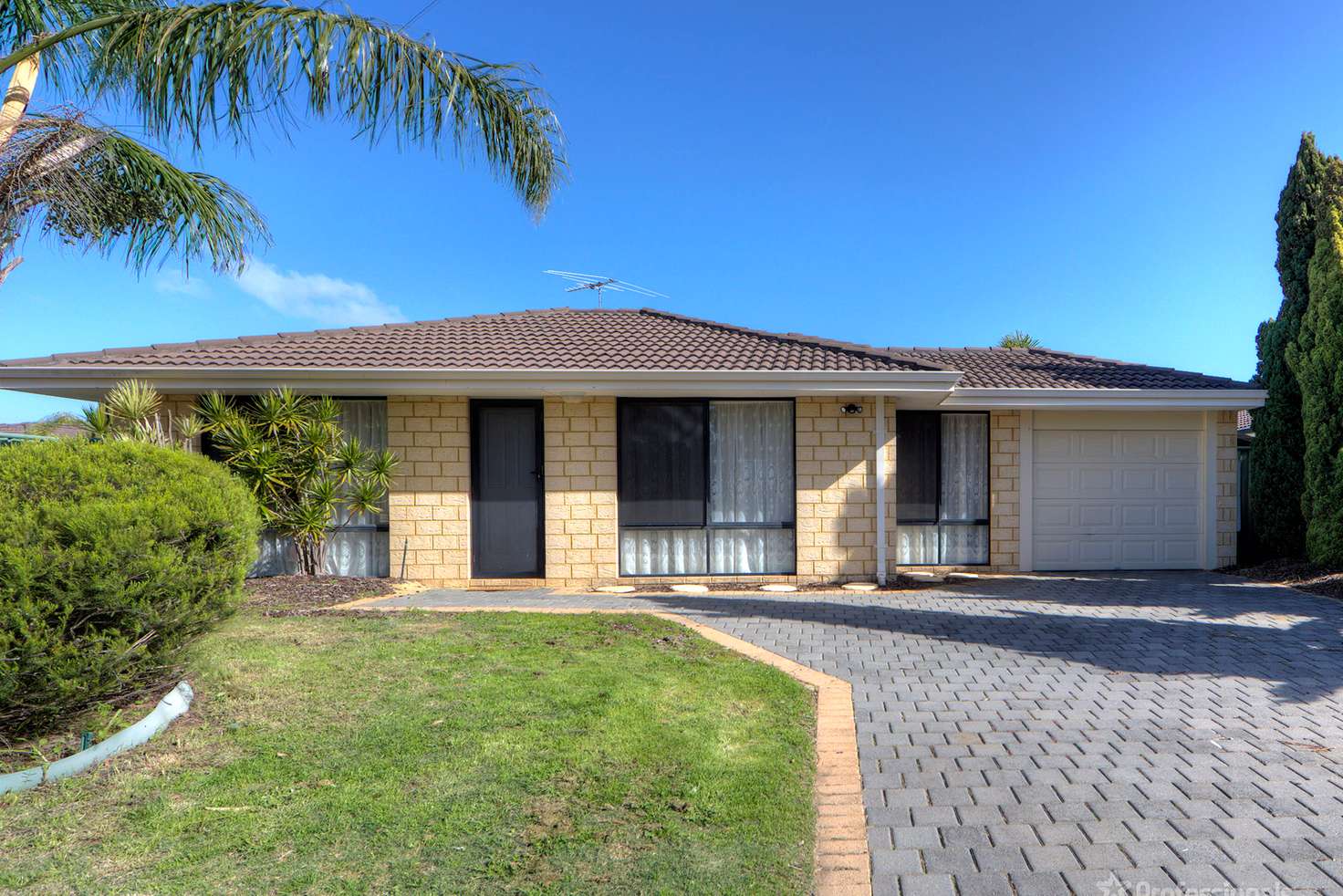 Main view of Homely house listing, 19 Grasstree Bend, Banksia Grove WA 6031