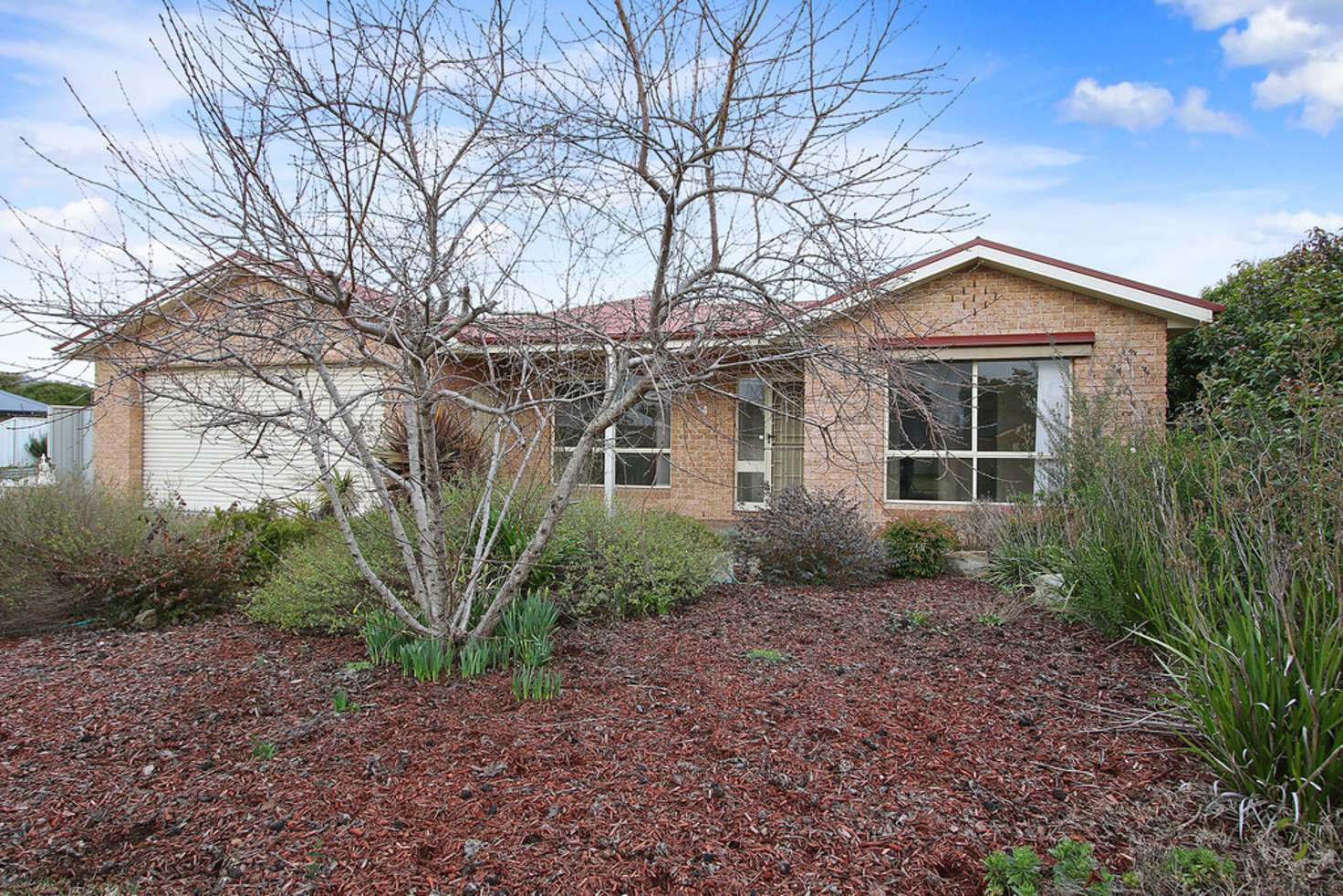 Main view of Homely house listing, 14 Wren Court, West Wodonga VIC 3690