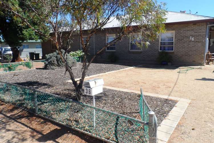 Main view of Homely house listing, 36 Aleppo Street, Loxton SA 5333
