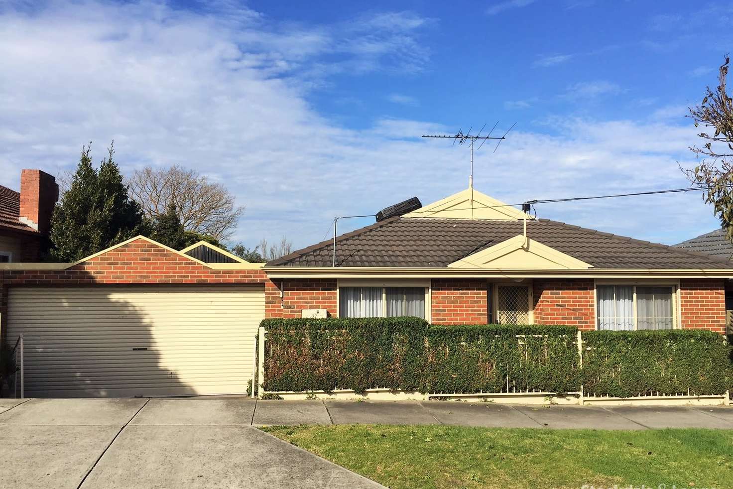 Main view of Homely unit listing, 37A Packham Street, Box Hill North VIC 3129