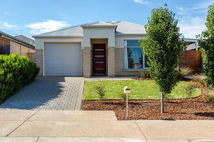 16 Edgehill Walk, Noarlunga Downs SA 5168