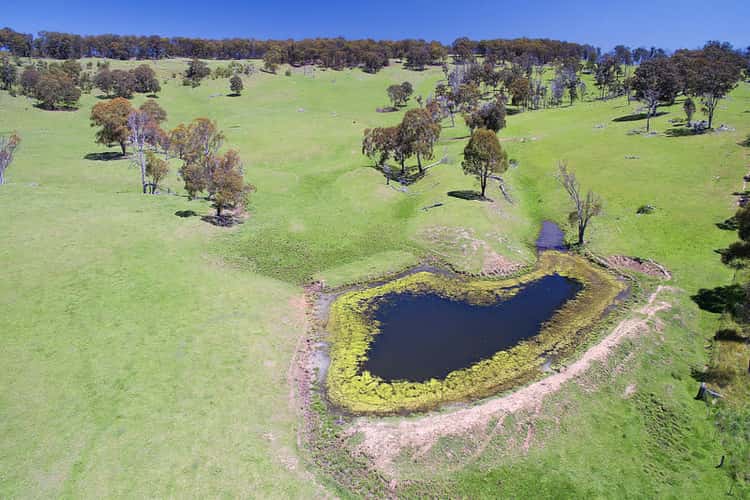 Main view of Homely livestock listing, 566 Brentwood Road, Guyra NSW 2365
