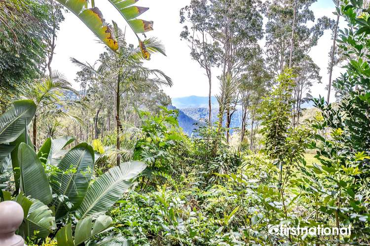 Fourth view of Homely house listing, 102 Wongawallan Road, Tamborine Mountain QLD 4272