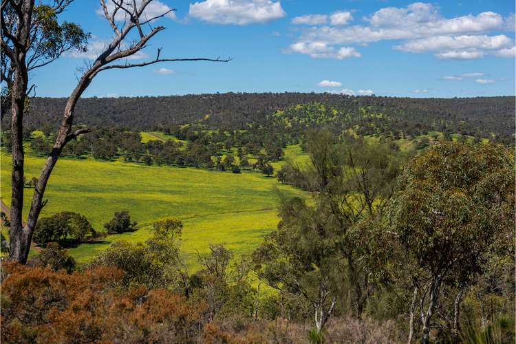 Main view of Homely mixedFarming listing, 545 Chittering Valley Road, Lower Chittering WA 6084