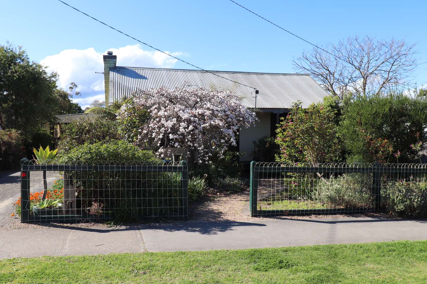Main view of Homely house listing, 41 SALISBURY STREET, Orbost VIC 3888