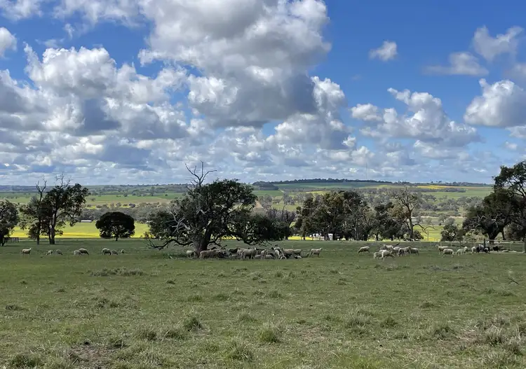 LOT 801 ROSE VALLEY COURT
