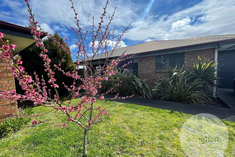 Main view of Homely unit listing, 7/60a Drummond Street, Perth TAS 7300