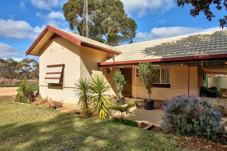 Main view of Homely house listing, 314 Old Sturt Highway, Glossop SA 5344