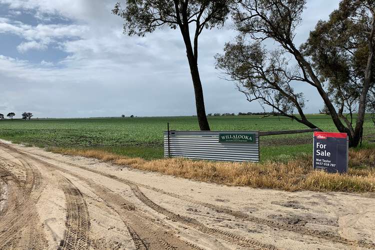 Main view of Homely mixedFarming listing, 333 OULTONS ROAD, Sheep Hills VIC 3392