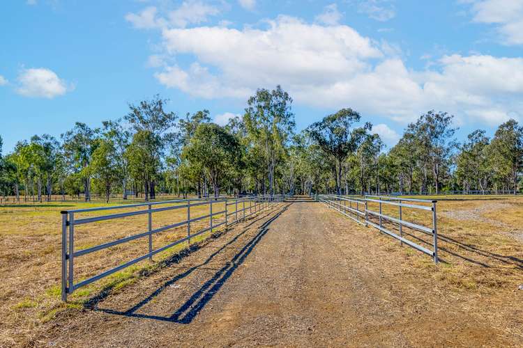 7 Toohey Road, Walloon QLD 4306