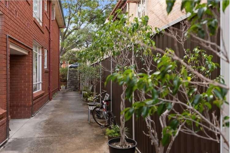 Fourth view of Homely apartment listing, 7/8 Marcia Street, Hurlstone Park NSW 2193