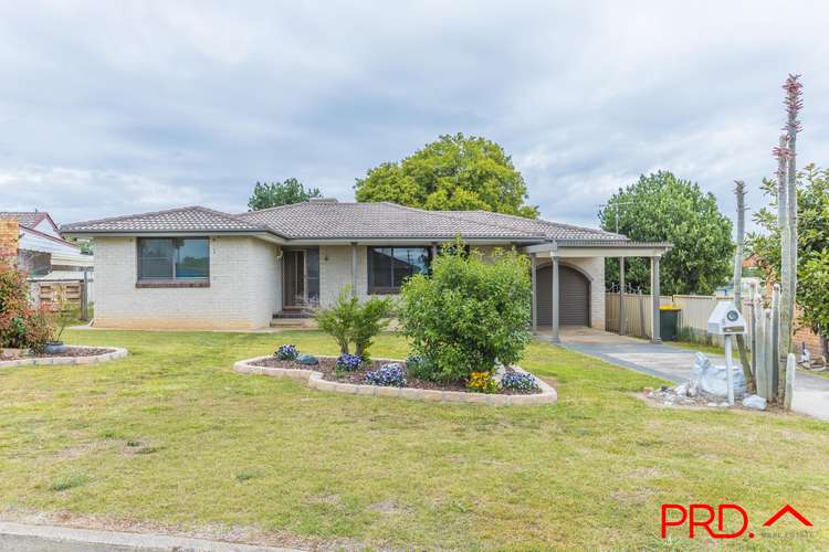 Main view of Homely house listing, 8 Dandaloo Street, Tamworth NSW 2340