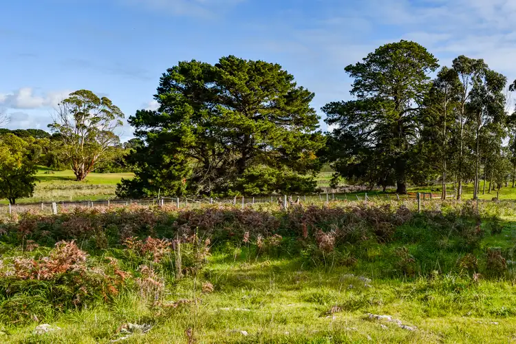 Fourth view of Homely land listing, Lot 907 Skeer Road, Hatherleigh SA 5280