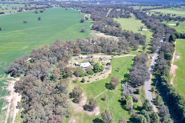 240 Old Trunk Road, The Rock NSW 2655