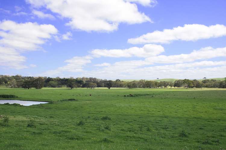 Fourth view of Homely livestock listing, Address available on request