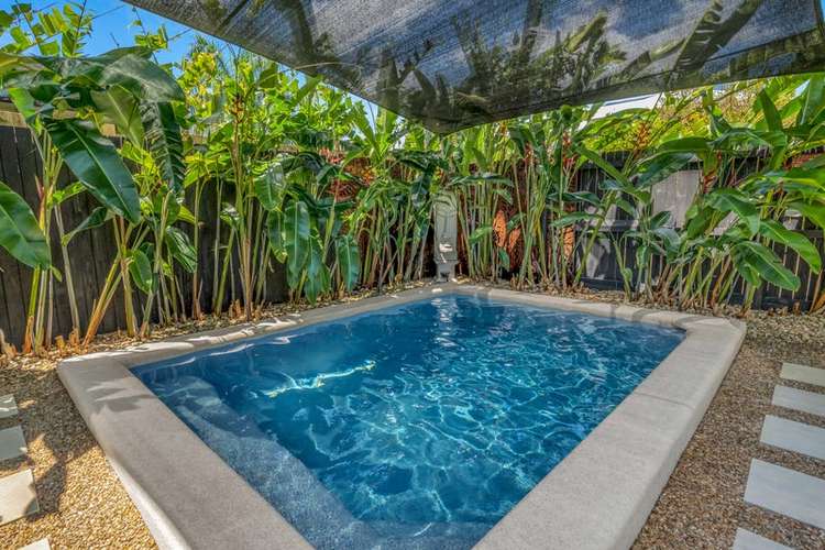 Main view of Homely house listing, 31 Conical Close, Trinity Beach QLD 4879