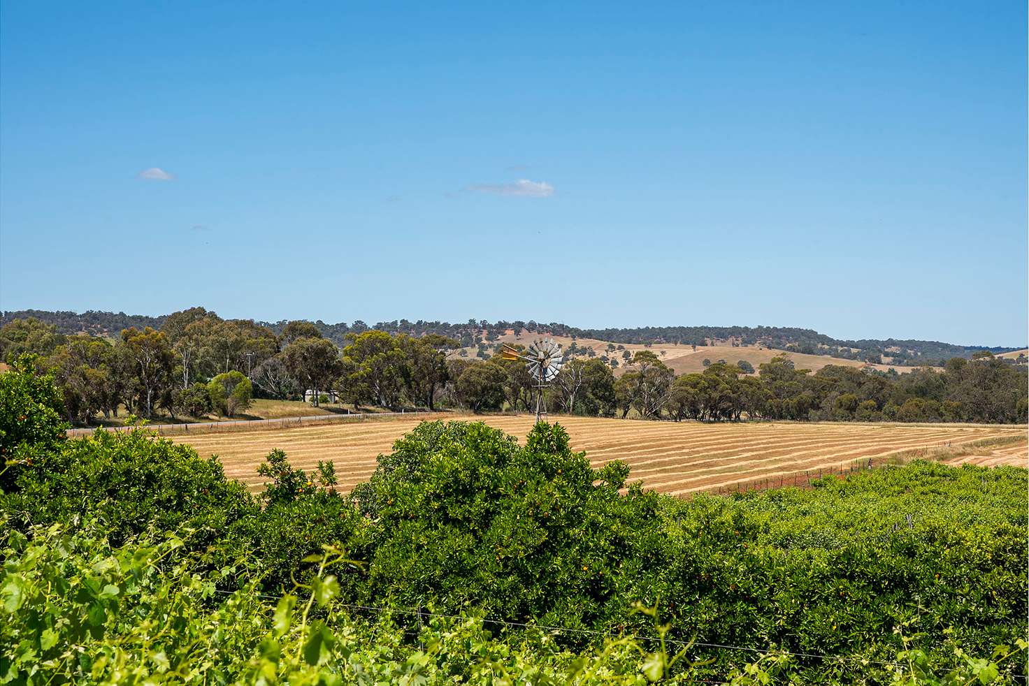 Main view of Homely ruralOther listing, 149 Bindoon Moora Road, Bindoon WA 6502