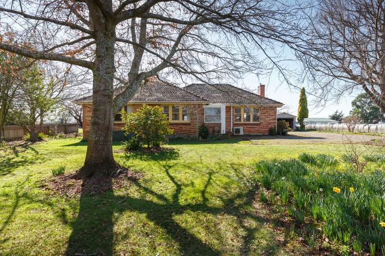 Main view of Homely house listing, 61 Meander Valley Road, Hagley TAS 7292