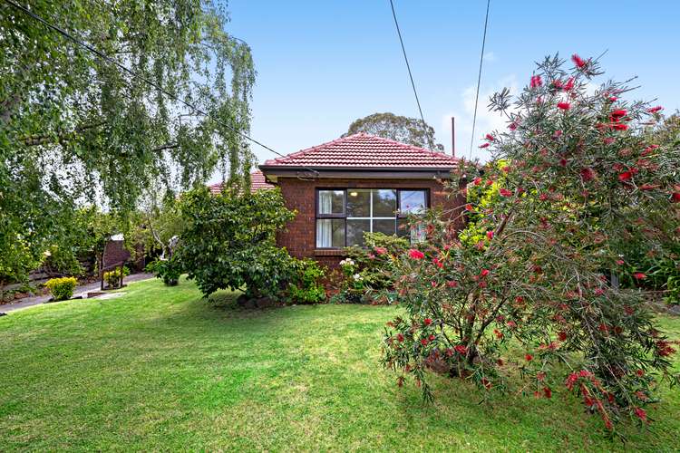 51 Latrobe Street, Cheltenham VIC 3192