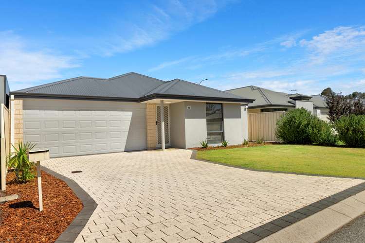 Main view of Homely house listing, 17 Mariposa Gardens, Success WA 6164