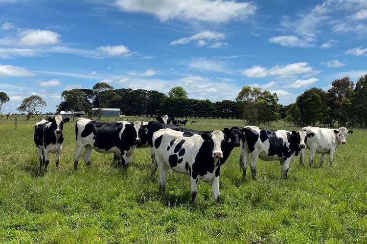 Second view of Homely mixedFarming listing, - Gores Road, Ecklin South VIC 3265