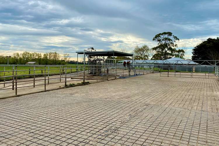 Third view of Homely dairy listing, 40 Scanlans Road, Elingamite North VIC 3266