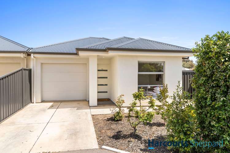 Main view of Homely house listing, 72A Luhrs Road, Payneham South SA 5070