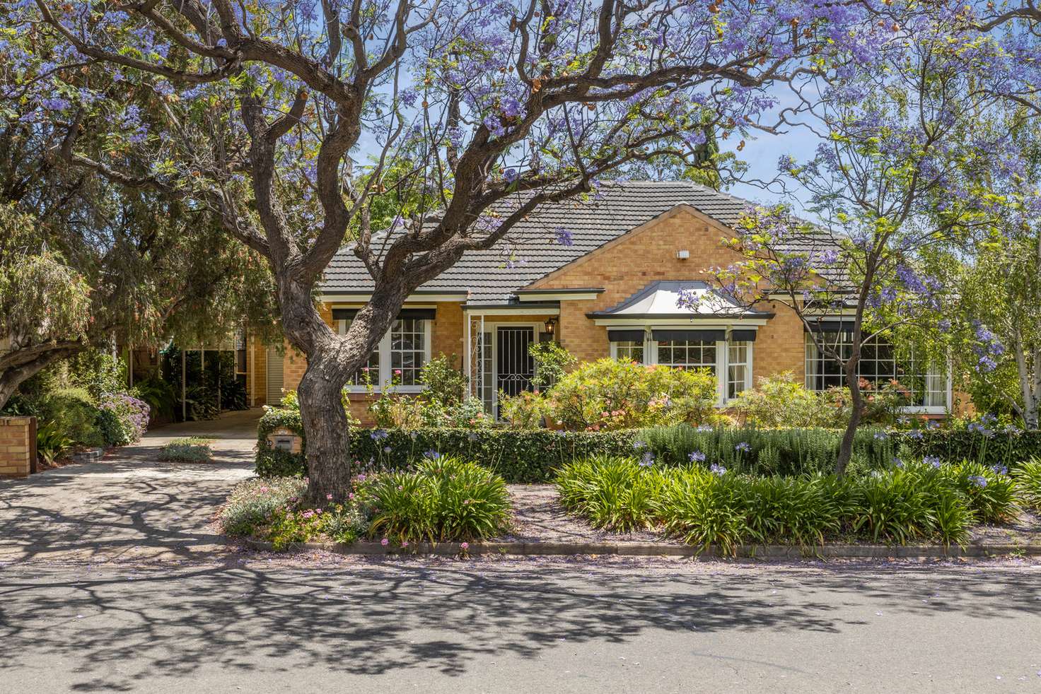 Main view of Homely house listing, 10 Seymour Avenue, Kings Park SA 5034