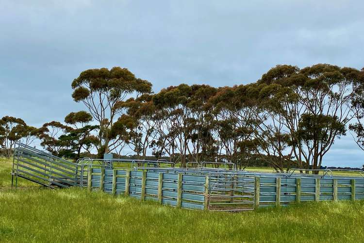 Fourth view of Homely mixedFarming listing, - Camperdown-Lismore Road, Kariah VIC 3260