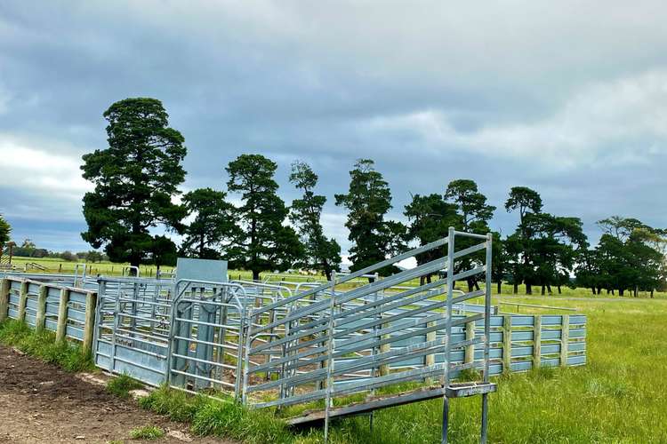 Fifth view of Homely mixedFarming listing, - Camperdown-Lismore Road, Kariah VIC 3260