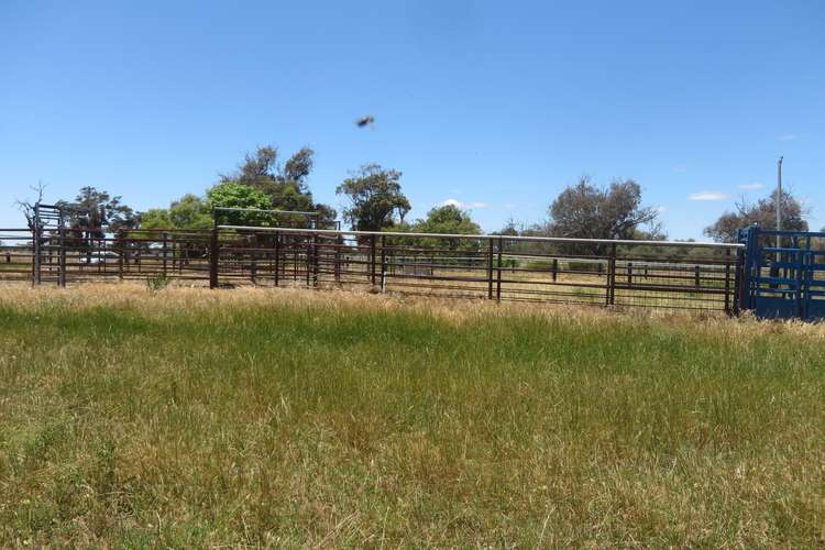 Sixth view of Homely cropping listing, Lot 12 Heron Point Road, West Coolup WA 6214