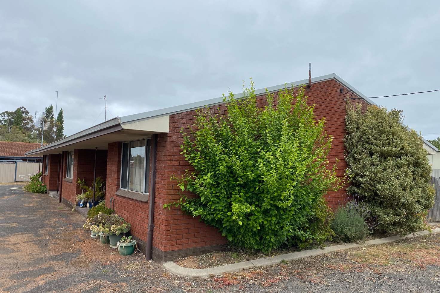 Main view of Homely blockOfUnits listing, 31 Johnson Street, Manjimup WA 6258