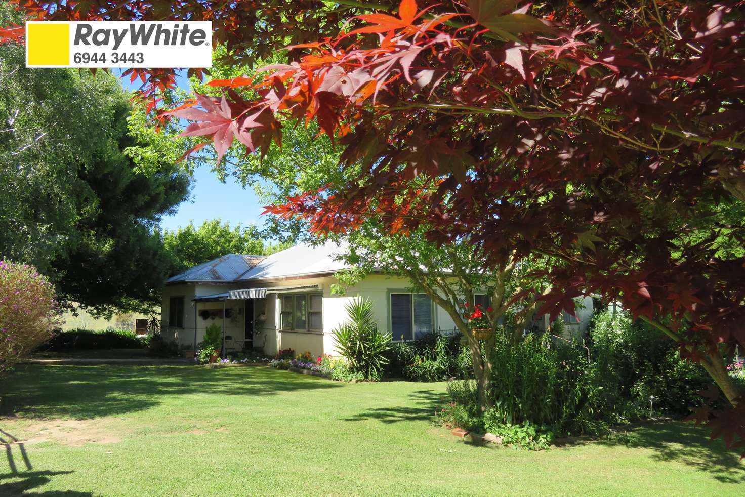 Main view of Homely house listing, 401 Threeways Road, Adjungbilly NSW 2727