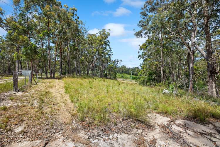 Fifth view of Homely residentialLand listing, 19 Collett Place, Meringo NSW 2537