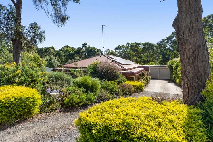 Main view of Homely house listing, 42 Haymes Road, Mount Clear VIC 3350