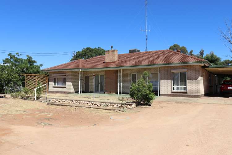 Second view of Homely house listing, 49 Worman Street, Berri SA 5343