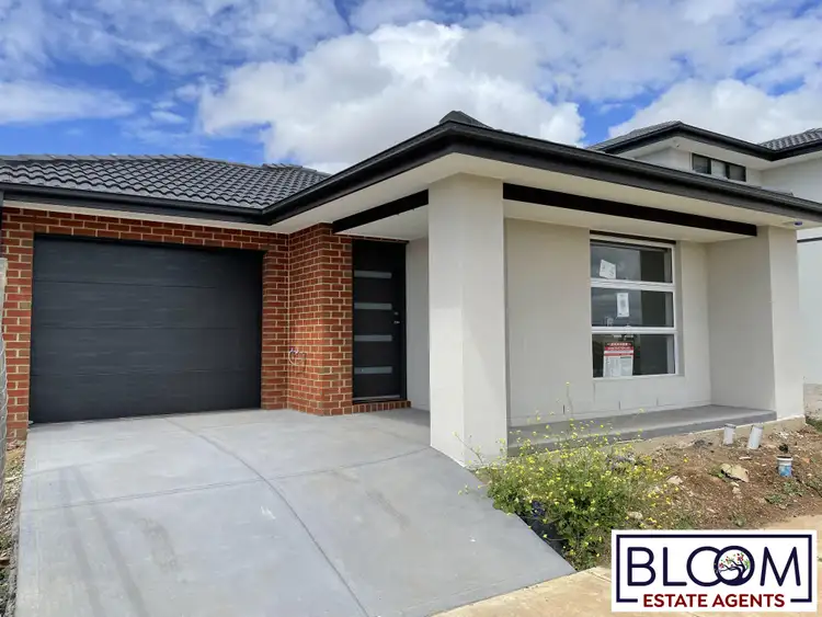 8 Codrington Road