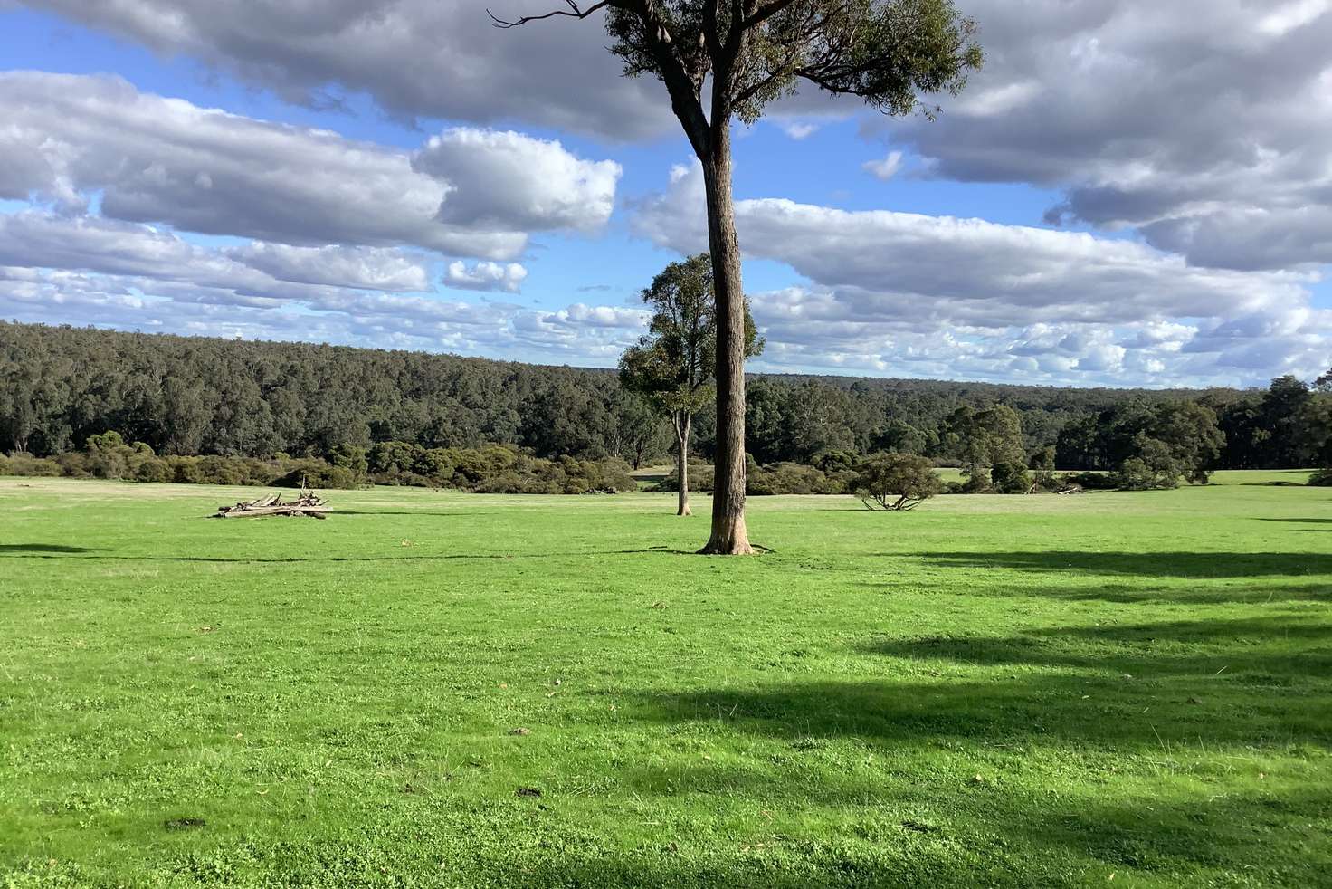 Main view of Homely mixedFarming listing, Lot 1561 & 929 Cundinup West Road (Cundinup), Nannup WA 6275