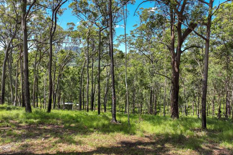 Third view of Homely residentialLand listing, 40 Rocky Creek Forest Road, Maroochy River QLD 4561