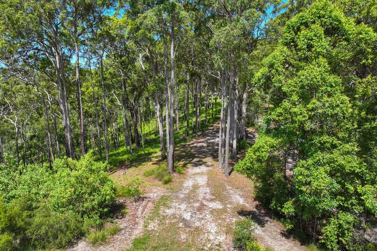Fourth view of Homely residentialLand listing, 40 Rocky Creek Forest Road, Maroochy River QLD 4561